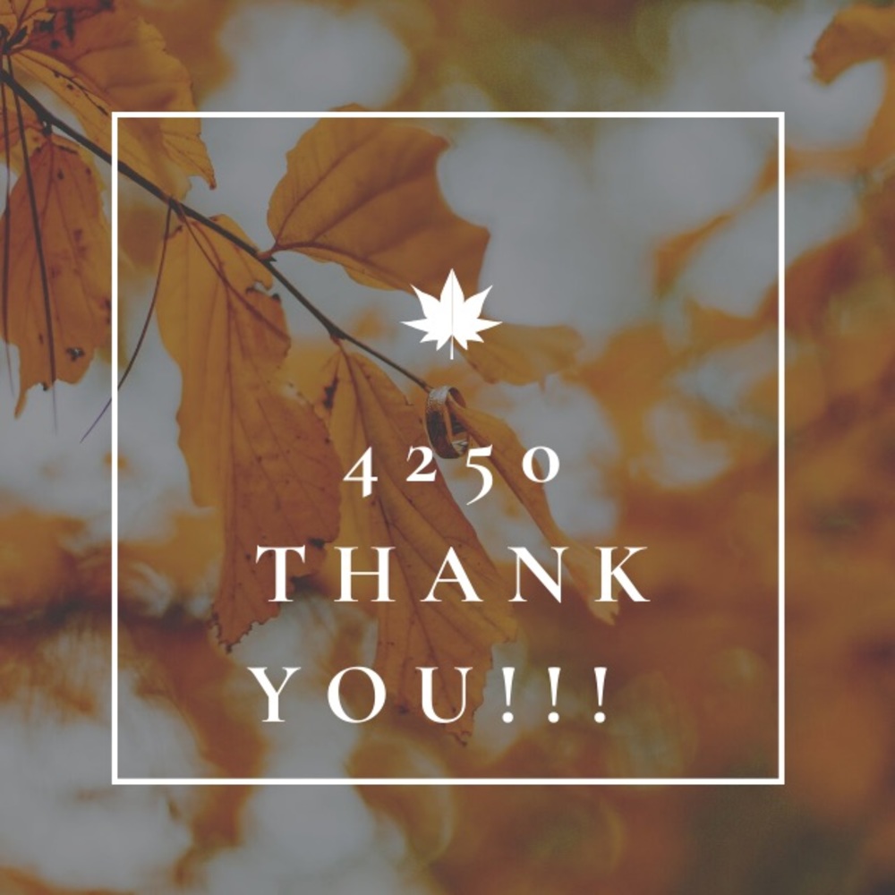 Thank you for over 4,000 beautiful followers!🥳